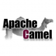 Apache Camel Training in the Philippines