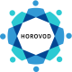 Horovod Training in the Philippines