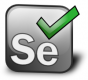 Selenium Training in the Philippines
