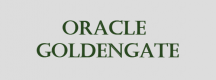 Oracle GoldenGate Training in the Philippines