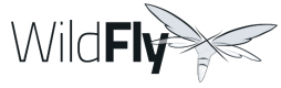 Wildfly Training in the Philippines
